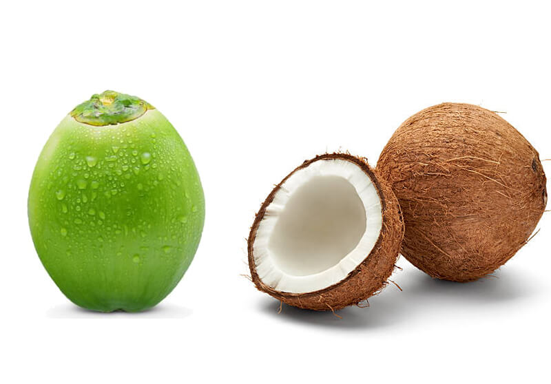 Tender Coconuts & Dry Coconuts