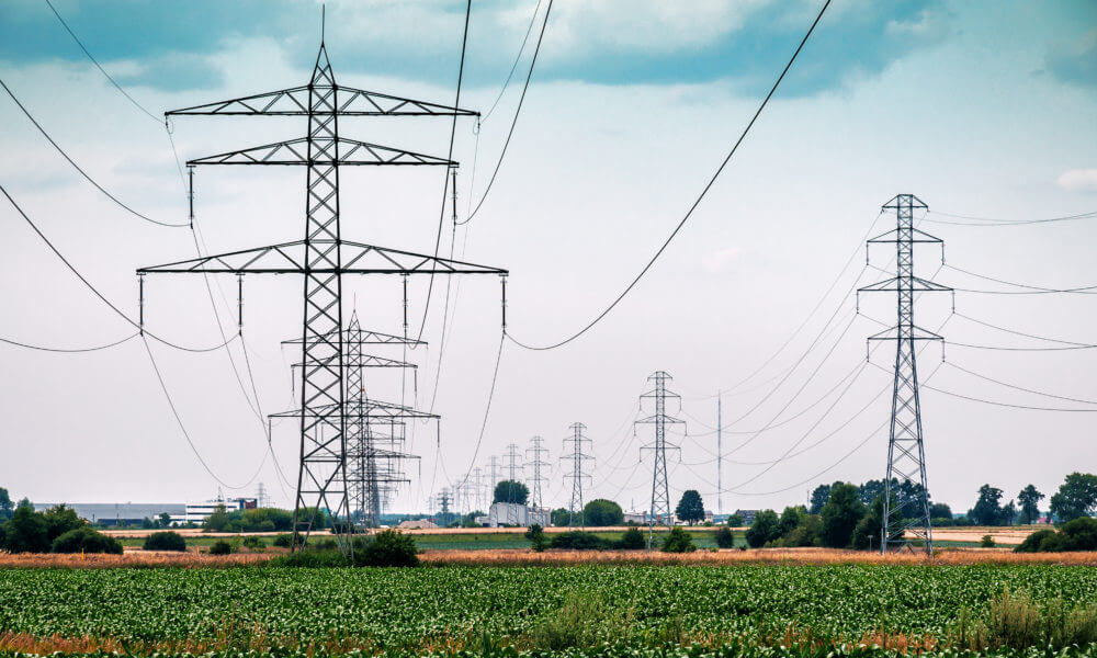 Project Management Services for Transmission Line Construction